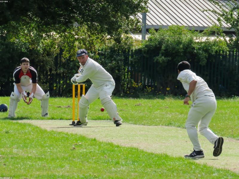 Stumps — Cricket Equipment